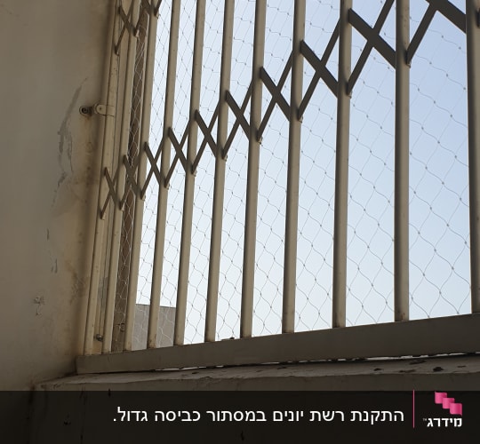 רשת מתכת על חלון למניעת כניסת יונים